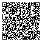 QR код "Vlade"