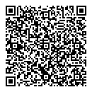 QR код "TOYSTOWN"