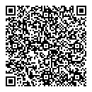 QR код "Гжель"
