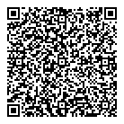 QR код "DIVIZION"