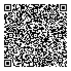 QR код "Лунный"