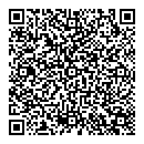 QR код "Поиск"
