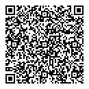 QR код "Indigo"