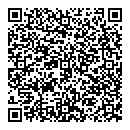 QR код "Ноэль"