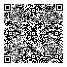 QR код "Созвездие"