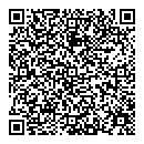 QR код "DRESSSHOP"