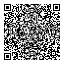 QR код "Элинс"