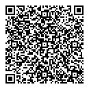 QR код "Алсу"