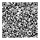 QR код "Железяка"