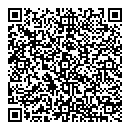 QR код "Домино"
