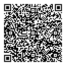 QR код "Пирамида XXI"