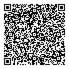 QR код "Спутник"