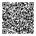 QR код "МИР"