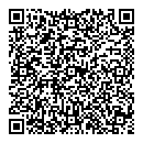 QR код "Lace"