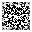 QR код "Созвездие"