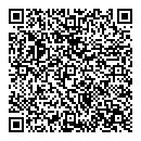 QR код "Спутник"