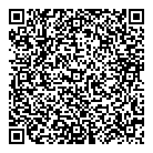 QR код "Авиатор"
