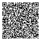 QR код "Созвездие"