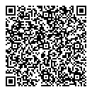 QR код "Da Vinci"