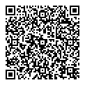 QR код "Flip Art"