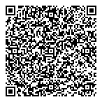 QR код "CameraVdome.ru"