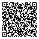 QR код "Nerf"