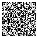 QR код "Сокол"