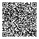 QR код "Свет"