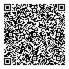 QR код "Воллеми"