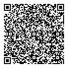 QR код "Профессионал"