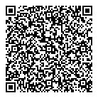QR код "Solo"