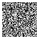 QR код "Профессионал"