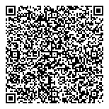 QR код "Медный всадник"