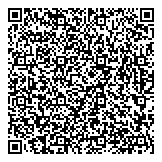 QR код "Профессионал"