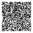 QR код "Вулкан"
