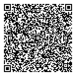 QR код "АЛТАЙСКИЕ ФЕЙЕРВЕРКИ"