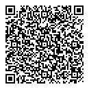 QR код "Алиса"