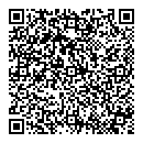 QR код "Алиса"