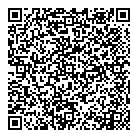 QR код "da Vinci"