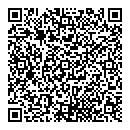 QR код "Лев"