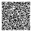 QR код "Сияние севера"