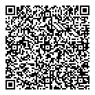 QR код "Борт 17/93"