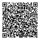 QR код "ДИЗЕЛЬ"