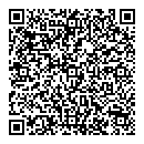 QR код "#Domino"