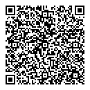 QR код "Паутина"