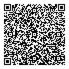 QR код "Спутник"