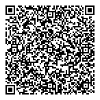 QR код "Polar Light"