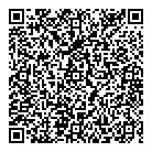 QR код "Svetlix"