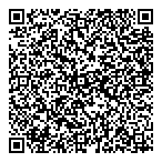 QR код "Альфа 2017"