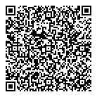 QR код "ВИЗ"